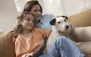 How Can Pet Owners Maintain Their IAQ in Germantown, MD?